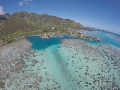 6. Coral and giant clams nursery site at the InterContinental Resort & Spa Moorea in French Polynesia
(Credit: CRIOBE)